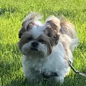 Meet your Posher, Sandy